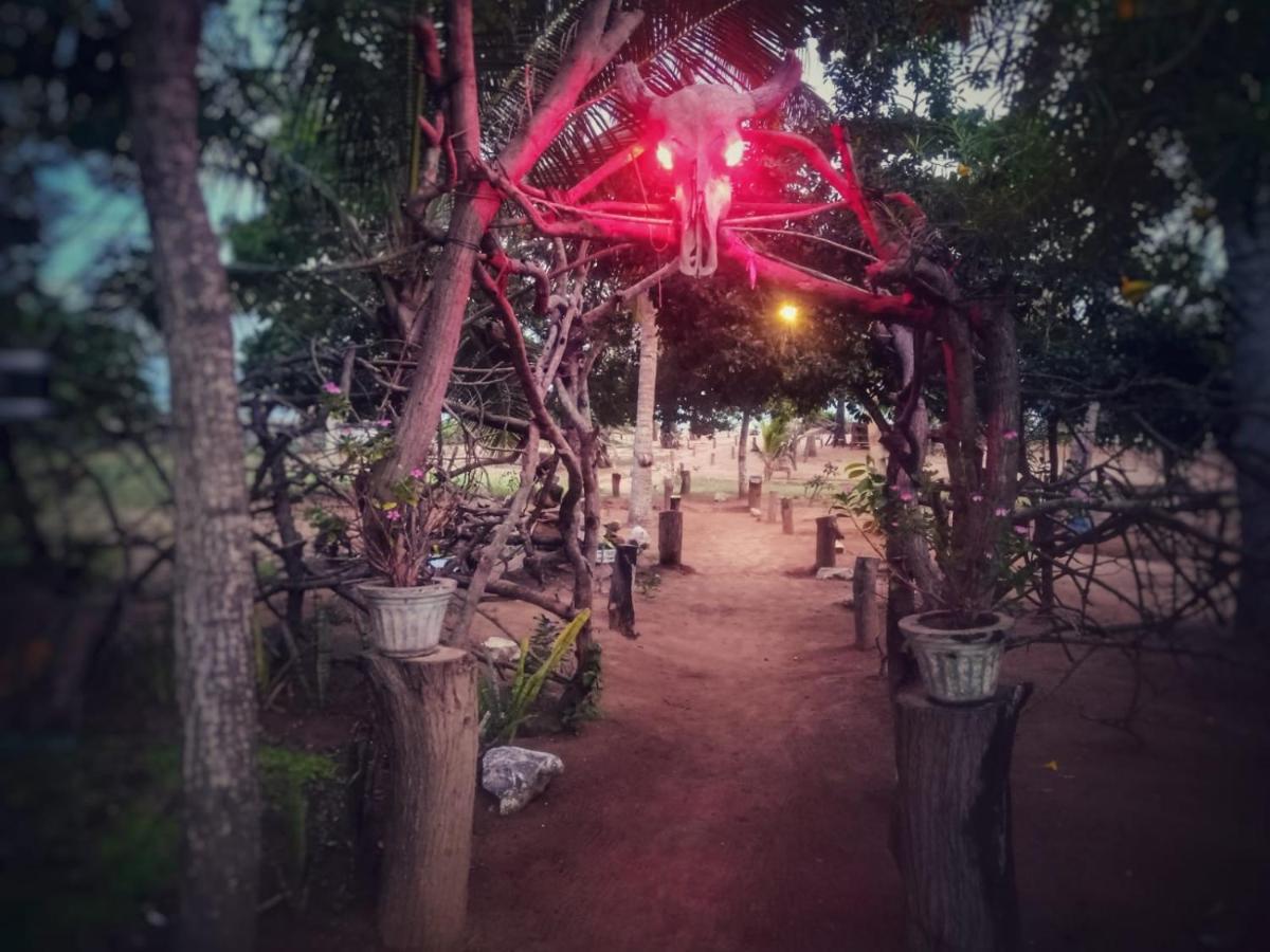 Кемпинг Yala *